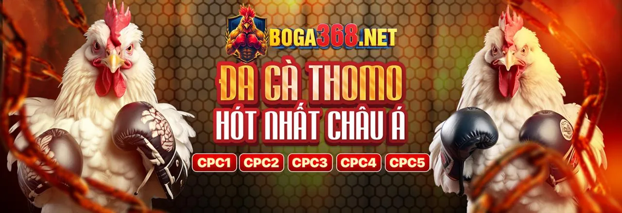Đá Gà Trực Tuyến 33king 2026
