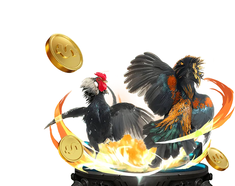 Đá gà truyền thống tại 33king